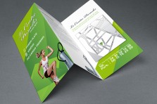 Tri Fold Brochure MockUp